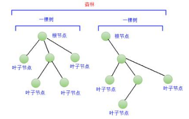 Java入门菜鸟教程下载之树和二叉树基础