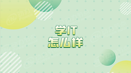 30岁学程序员