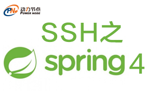 Spring与Dao_自定义类型查询的实现