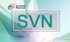 Eclipse中的SVN之冲突问题