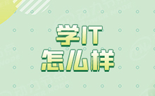 女生学IT可以吗？好就业吗