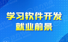学软件开发的培训学校就业待遇怎么样