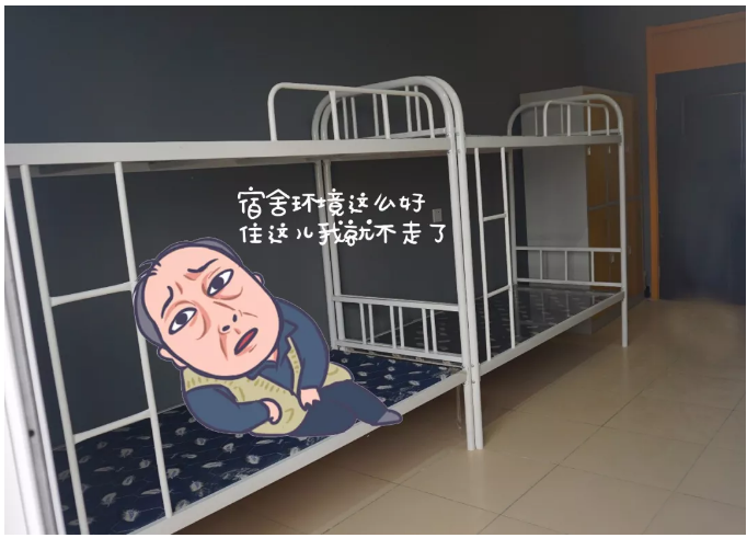 “苏大强表情包”之动力节点版